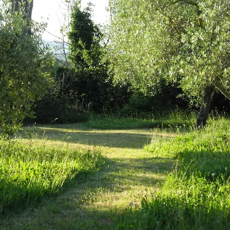 Bed and Breakfast Podere Monticchio